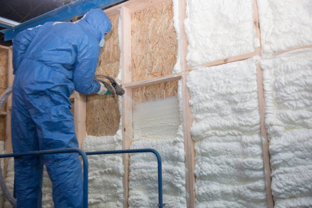 Best Attic Insulation Installation  in West Point, UT